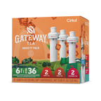 Gateway Tea® 6-Pack Variety Pack